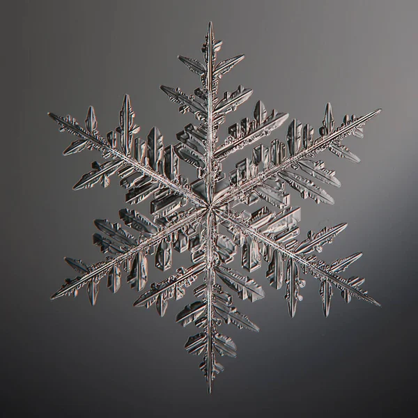 Fiocco Neve Cristallo Naturale Singolo Isolato Trasparente Sfondo Foto Astratta — Foto Stock