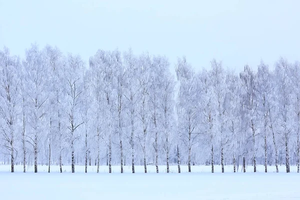 Winter Hintergrund Schneefall Bäume Abstrakte Verschwommen Weiß — Stockfoto