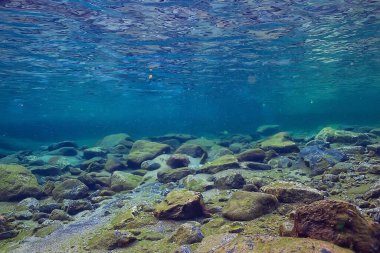 Tropikal deniz sualtı arka planda dalış okyanusu