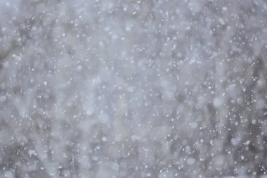 Soyut kar yağışı kış mevsimsel karı örtüyor