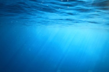 Tropikal deniz sualtı arka planda dalış okyanusu