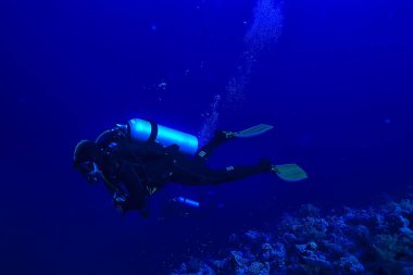 Dalgıçlar mavi deniz arka planında derinlerde suyun altında