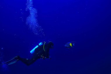 Dalgıçlar mavi deniz arka planında derinlerde suyun altında