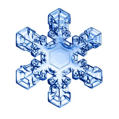 Beyaz arkaplandaki kartanesi izole nesne doğal fotoğraf kristali