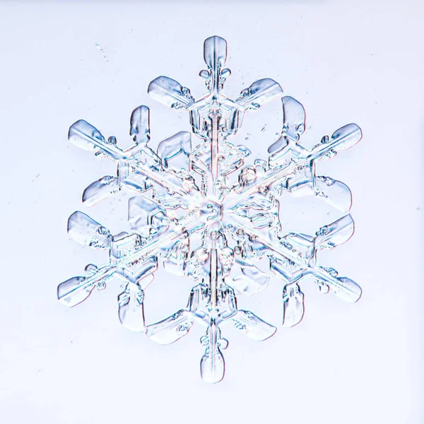 Schneeflocke Isoliert Weißen Hintergrund Abstrakte Transparente Kristall Natürliche Foto Makro — Stockfoto