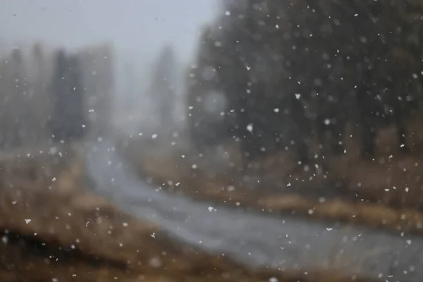 Снегопад Зимнем Шоссе Плохая Видимость — стоковое фото