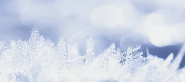 Abstract Winter Achtergrond Ijzel Vorst Sneeuw Seizoensgebonden — Stockfoto