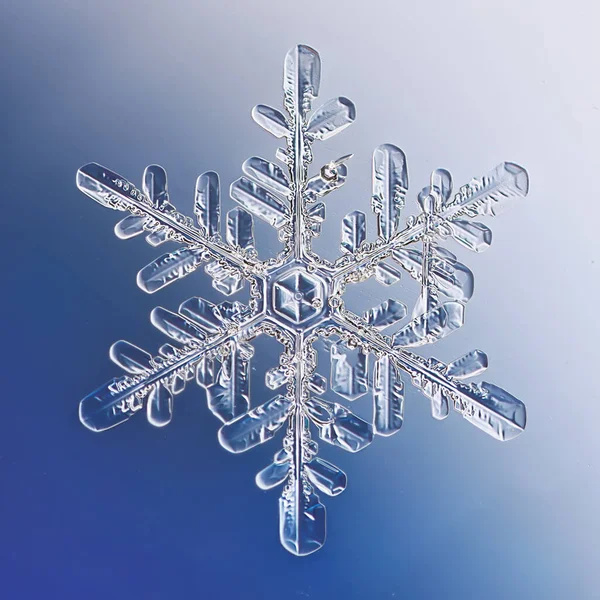 Fiocco Neve Cristallo Naturale Singolo Isolato Trasparente Sfondo Foto Astratta — Foto Stock