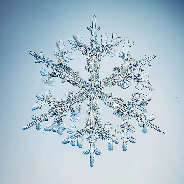 Schneeflockenkristall Makro Foto Naturobjekt Winterdesign — Stockfoto