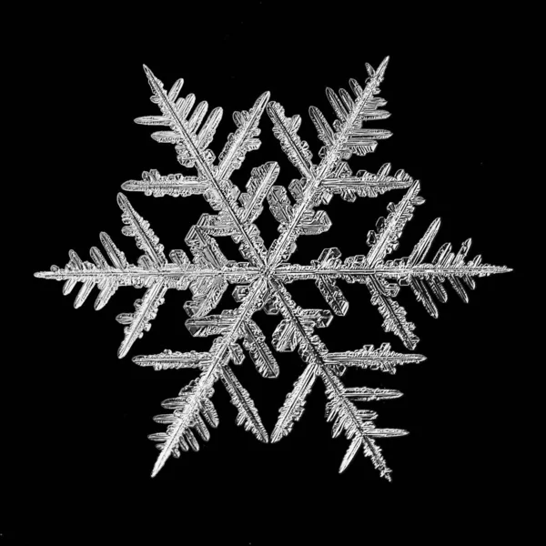 Zwarte Achtergrond Sneeuwvlok Geïsoleerd Abstract Object Winter Detail — Stockfoto