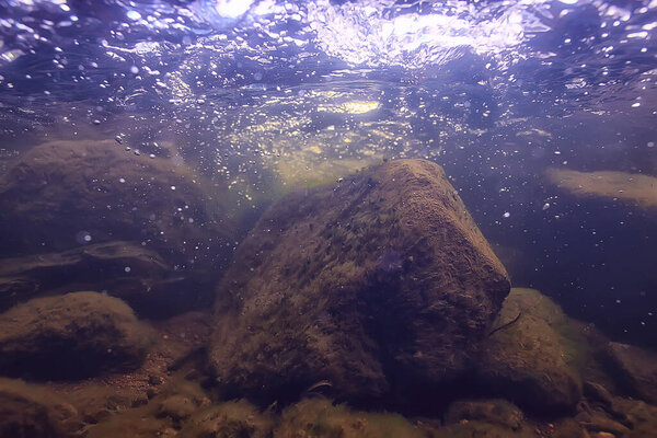 подводный пресноводный ландшафт, экосистема горных озер летом, с видом на воду