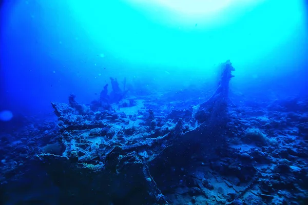 Wreck Diving Thistelgorm Underwater Adventure Historical Diving Treasure Hunt — Stock Photo, Image