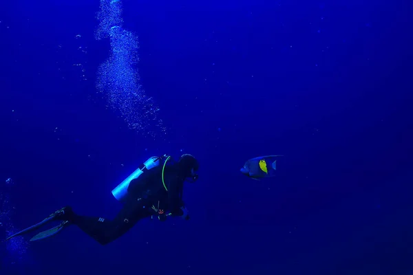 Immersioni Subacquee Profondità Sullo Sfondo Blu Del Mare — Foto Stock