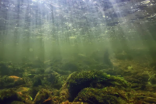 Sun Rays Water Landscape Seascape Fresh Water River Diving — Stock Photo, Image