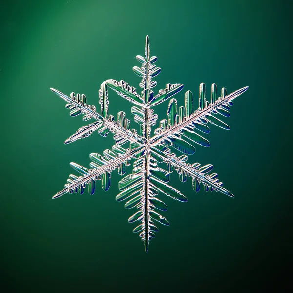Floco Neve Cristal Foto Natural Objeto Isolado Fundo Verde — Fotografia de Stock