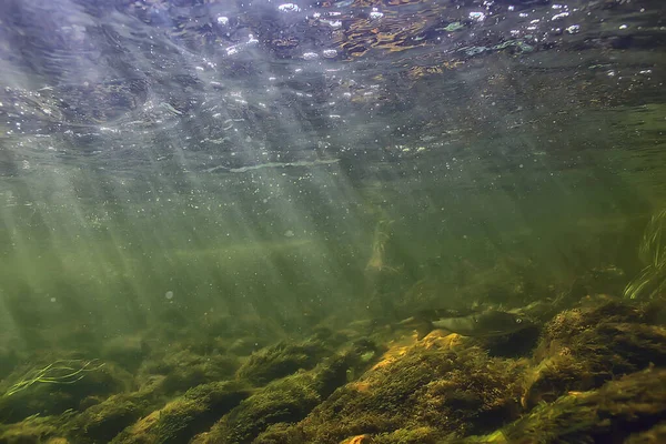 Güneş Işınları Suyun Altında Deniz Manzarası Tatlı Nehri Dalışı — Stok fotoğraf