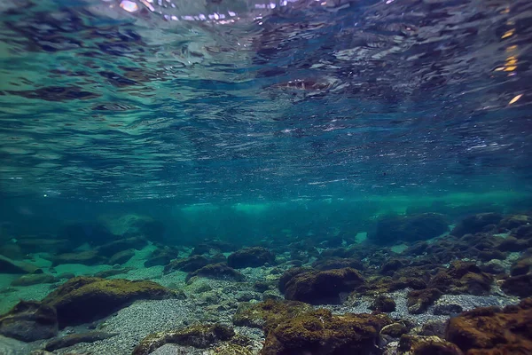 Unterwasser Süßwasserlandschaft Gebirgssee Ökosystem Hintergrund Sommer Unter Wasser Blick — Stockfoto