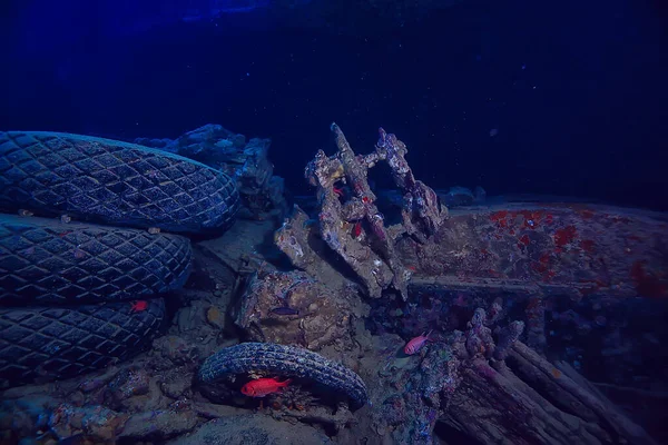 沉船潜水鳗鱼 水下探险历史潜水 — 图库照片