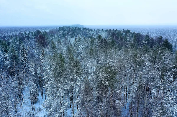 Alberi Foresta Gelo Vista Dall Alto Sfondo Astratto Drone Vista Fotografia Stock