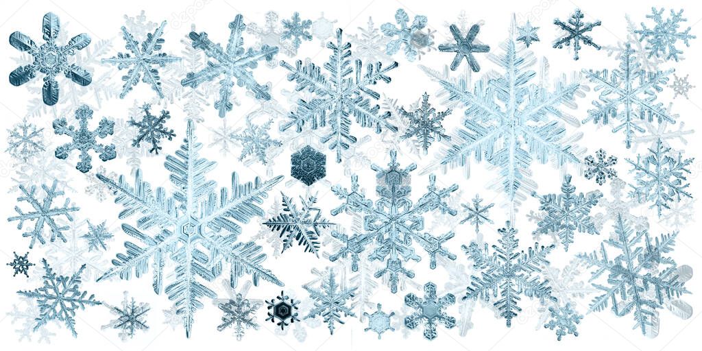 snowflakes isolate white background, abstract winter background snowflake ornament, crystal christmas decoration design