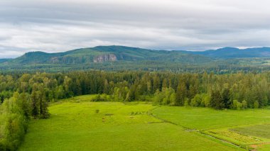 Rainier Dağı ve Washington Şelaleleri Haziran 2022 'de gün batımında. 