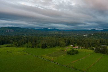 Rainier Dağı ve Washington Şelaleleri Haziran 2022 'de gün batımında. 