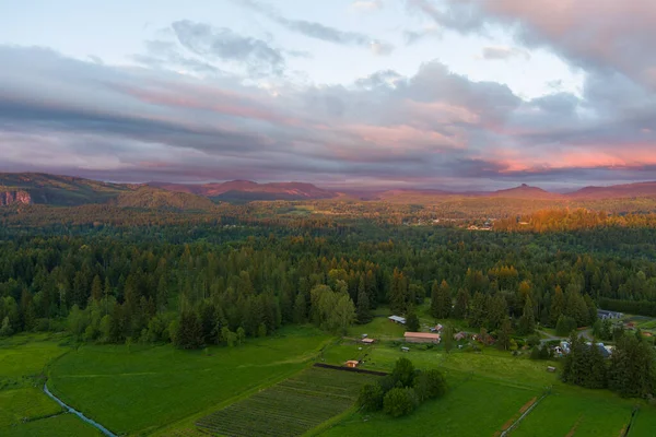 Rainier Dağı ve Washington Şelaleleri Haziran 2022 'de gün batımında. 
