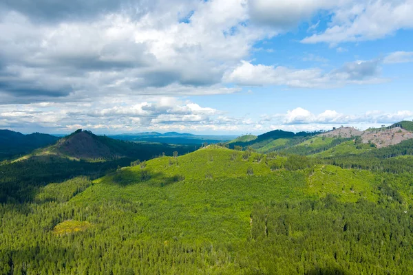 Jezero Cushman Olympijské Hory Státu Washington Červnu 2022 — Stock fotografie