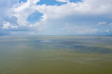 Mobile Körfezi, 2022 'de güzel bir Temmuz günü.