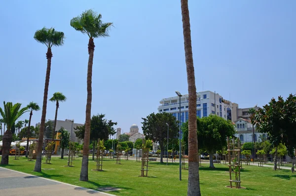 Limassol promenáda alej — Stock fotografie