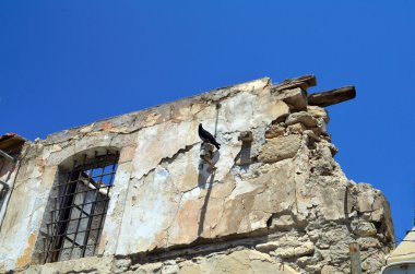 Güvercin ev kalıntıları