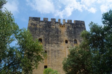 Inn'in Kalesi, ortaçağ Kıbrıs'ın stratejik önemli fort