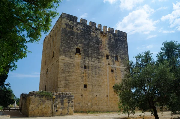 Castelo de Kolossi, importante fortaleza estratégica de Chipre medieval — Fotografia de Stock