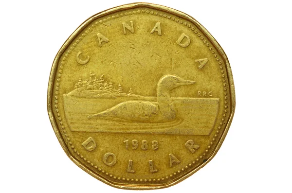 Канада долар — стокове фото