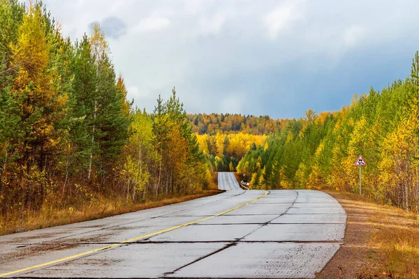 用钢筋混凝土板建成的蜿蜒空旷的道路穿过一片风景如画的秋天森林 西伯利亚的印度夏季风景 秋天的黄色和绿色 — 图库照片
