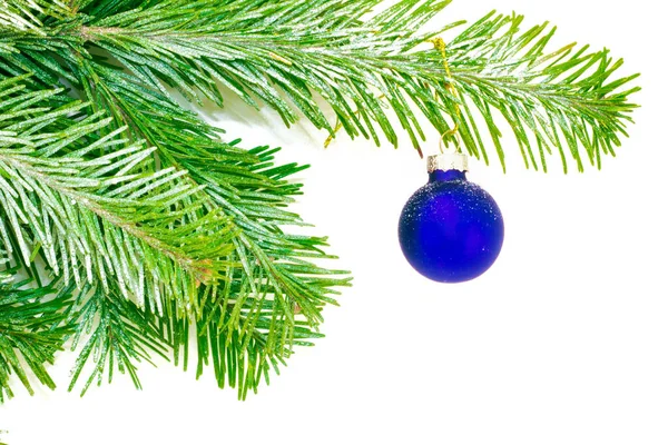 Bauble Blu Natale Ramo Abete Innevato Isolato Sfondo Bianco Decorazione — Foto Stock