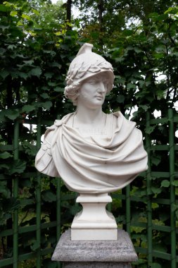 Saint Petersburg, Rusya - 13 Ağustos 2020: Büyük İskender 'in büstü (kopya). P. Baratta heykeltraşı, 1720 dolaylarında, İtalya. Ana caddeye kurulmuş, ilk yerleşim yeri Yaz Bahçesi, St. Petersburg