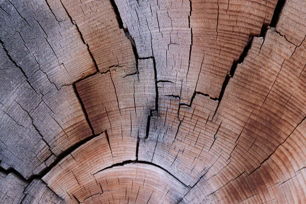 Pęknięty Drewniany Faktura Roczny Pierścień Piłowany Drzewo Niszczycielski Proces Czernienia — Zdjęcie stockowe