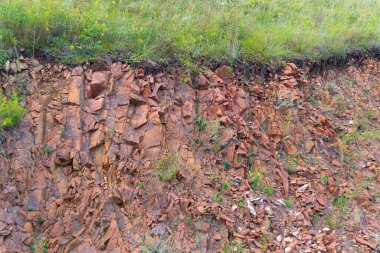 Çöken bir kaya yamacının yüzeyinde yeşil çimenler yetişir.