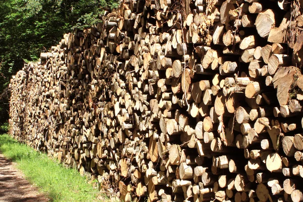 Corte de madera — Foto de Stock