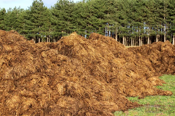 Manure — Stock Photo, Image