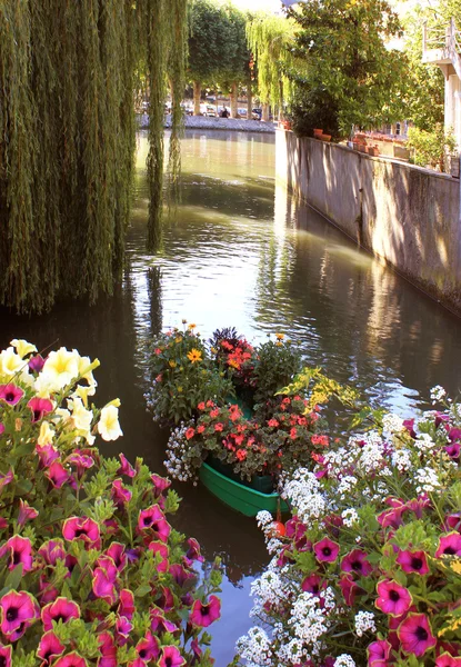 Fluss in Blumen — Stockfoto