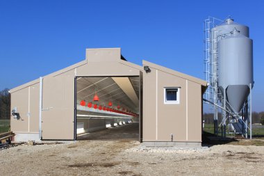 tavuk çiftliği için shed