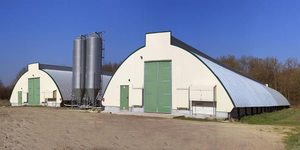 tavuk çiftliği için shed