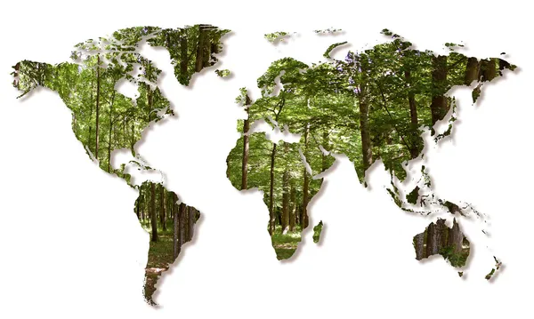 Vernietiging van de bossen in de wereld — Stockfoto