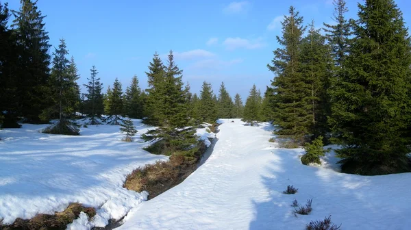 Paisaje invierno — Foto de Stock