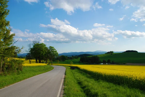 Road in the Spring — Stock Photo, Image