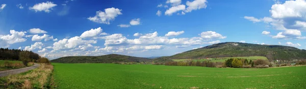 Spring field — Stock Photo, Image