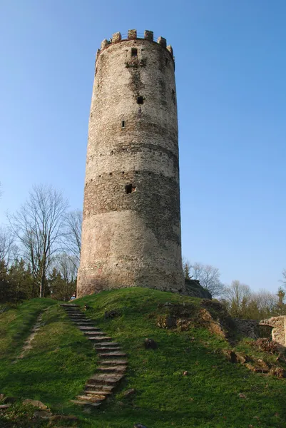 Ruines du château Image En Vente