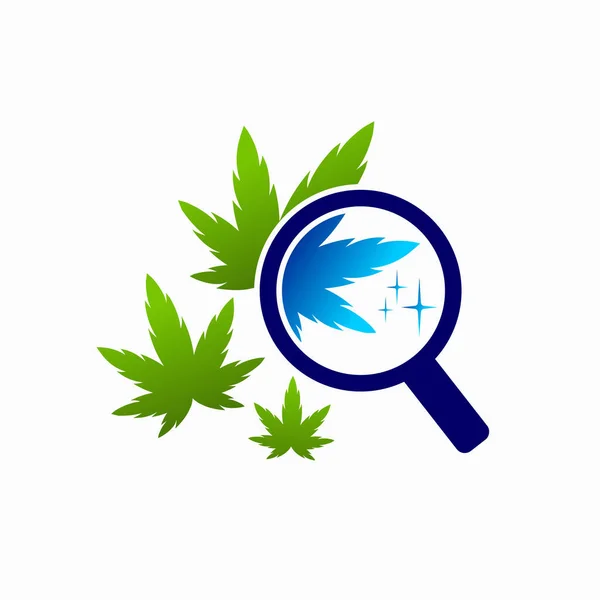Cannabis Szintek Logó Nagyító Üveg Koncepció — Stock Vector